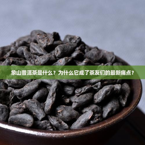 象山普洱茶是什么