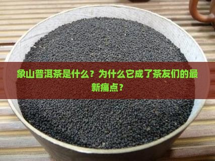 象山普洱茶是什么
