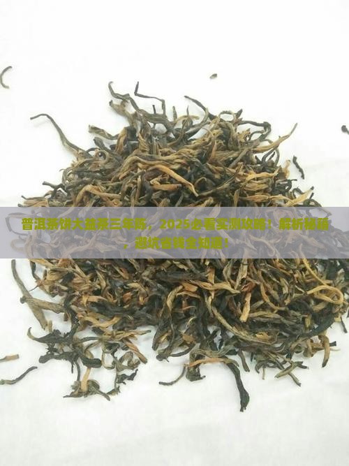 普洱茶饼大益茶三年陈