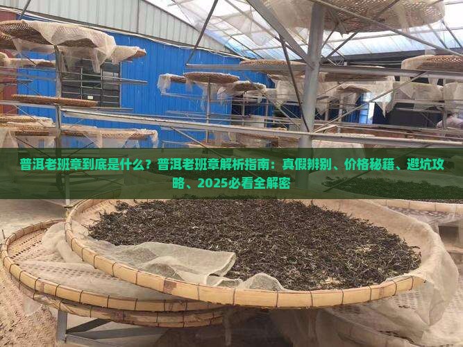 普洱老班章名称