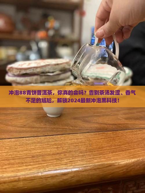 冲泡88青饼普洱茶
