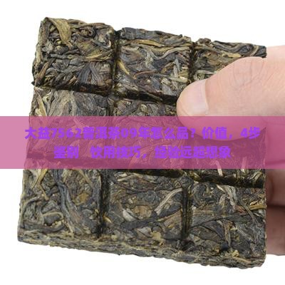 大益7562普洱茶09年