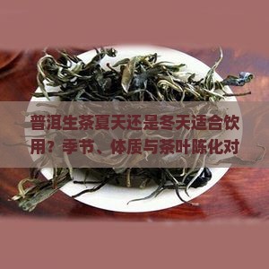 普洱生茶夏天喝还是冬天喝