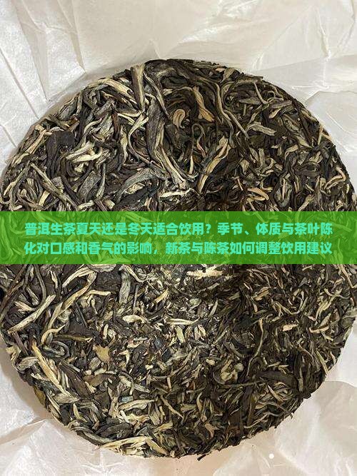 普洱生茶夏天喝还是冬天喝