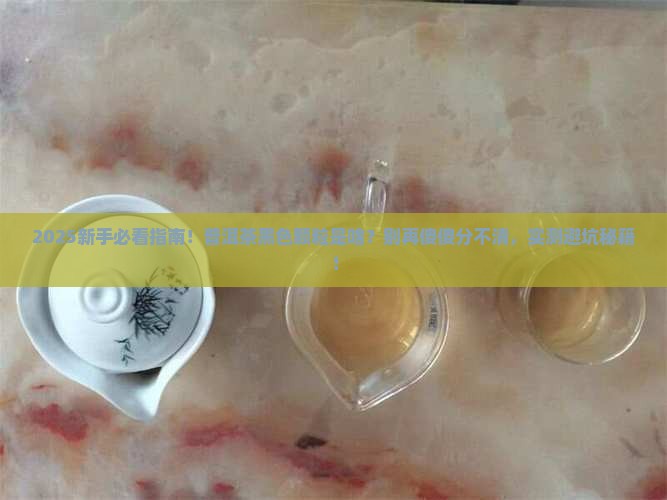 普洱茶有黑色颗粒是什么