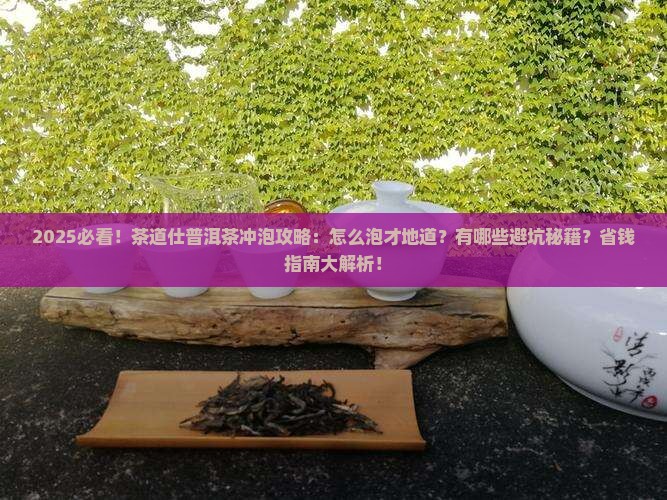 茶道仕普洱茶怎么样冲泡