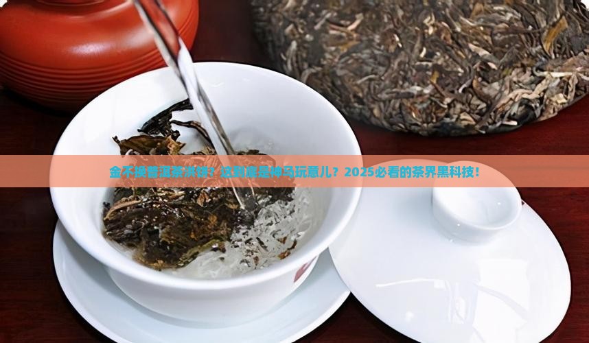 金不换普洱茶茶洪饼