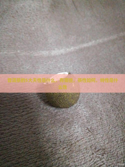 普洱茶的5大天性