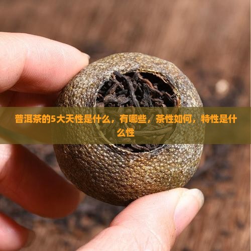 普洱茶的5大天性