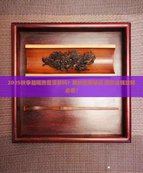 秋季能喝熟普洱茶