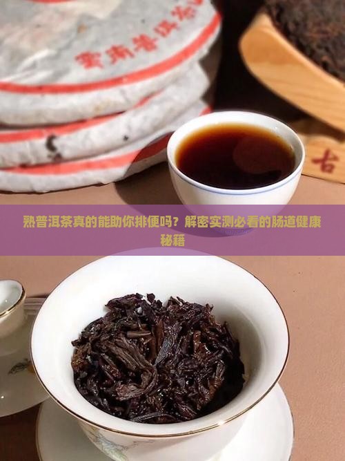 熟普洱茶有助于排便吗