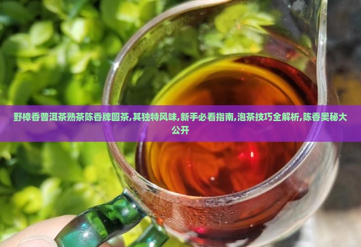 野樟香普洱茶熟茶陈香牌圆茶