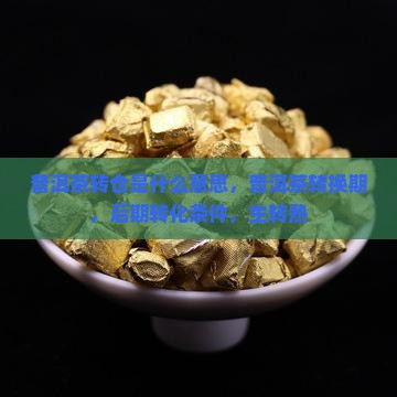 普洱茶转仓是什么意思