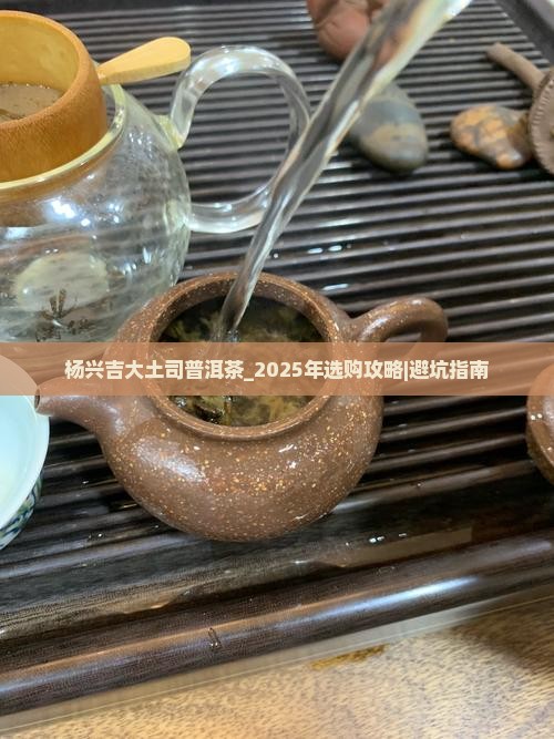 杨兴吉大土司普洱茶