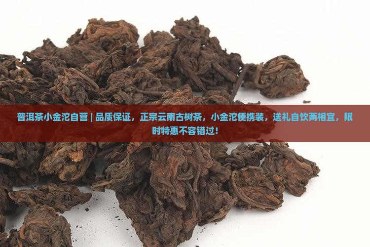 普洱茶小金沱自营
