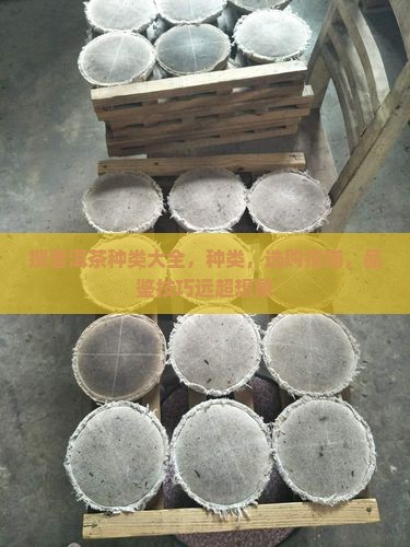 搜普洱茶种类大全