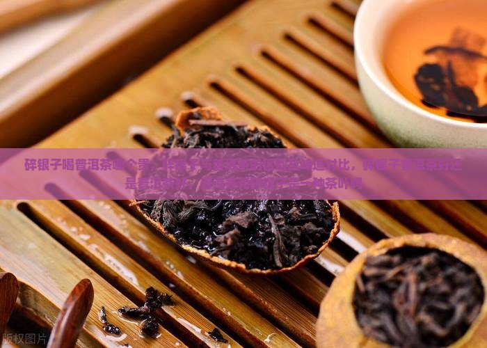 碎银子喝普洱茶哪个贵
