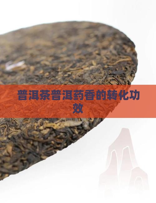 普洱茶转化药香的功效