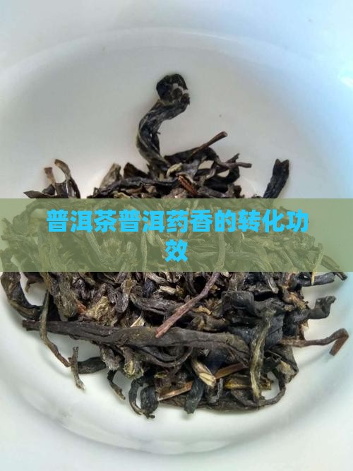 普洱茶转化药香的功效