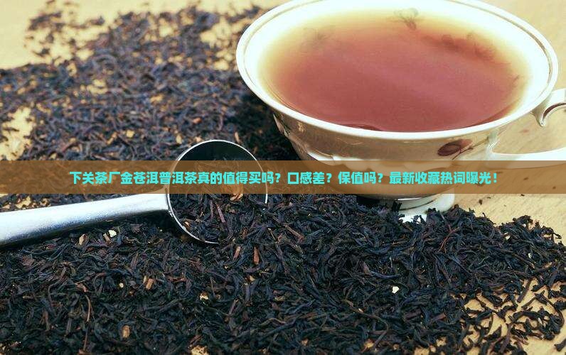 下关茶厂金苍洱普洱茶
