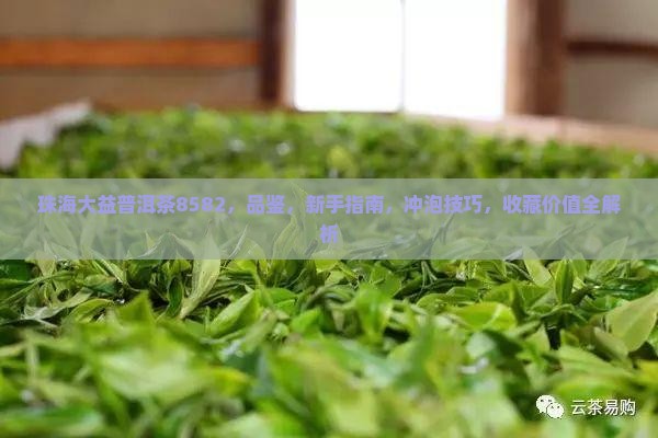 珠海大益普洱茶8582