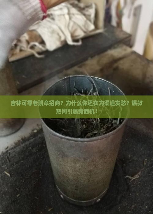 吉林可靠老班章招商