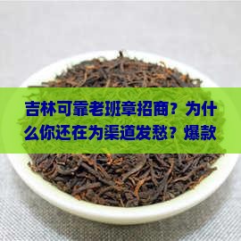 吉林可靠老班章招商