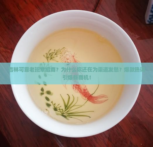 吉林可靠老班章招商