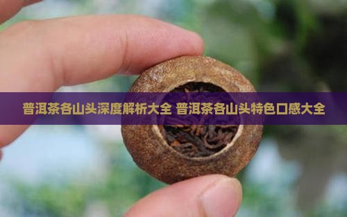 普洱茶各山头深度解析大全