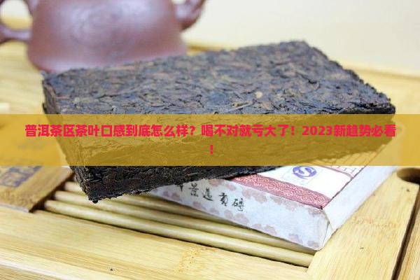 普洱茶区茶叶口感