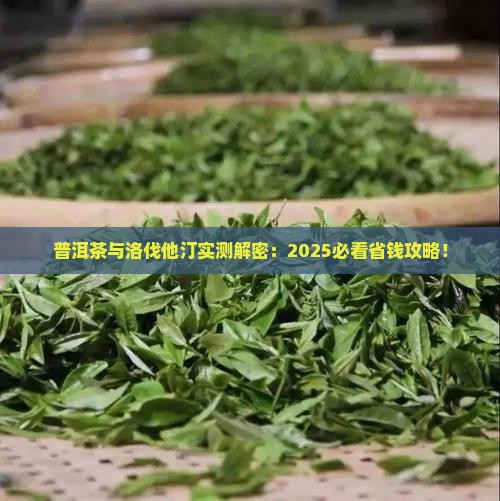 普洱茶与洛伐他汀