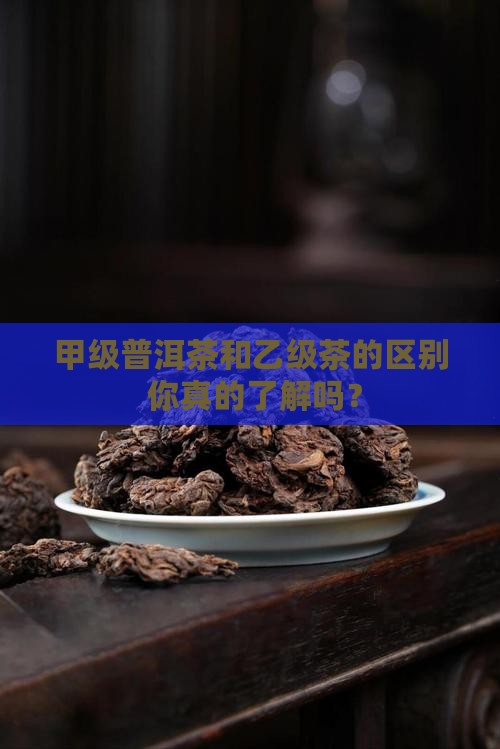 甲级普洱茶和乙级茶的区别