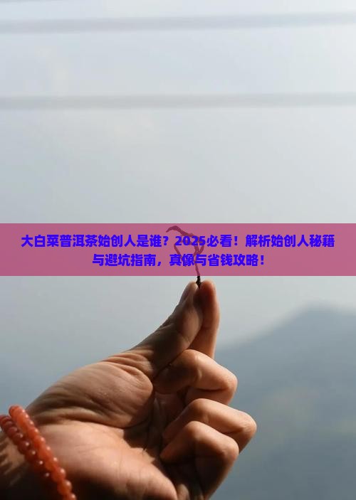 大白菜普洱茶始创人