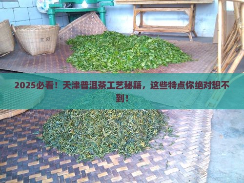 天津普洱茶工艺有哪些特点