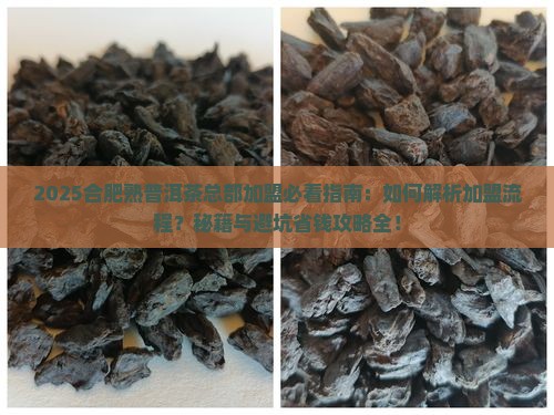 合肥熟普洱茶总部加盟