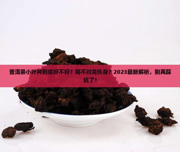 普洱茶小叶种好不好