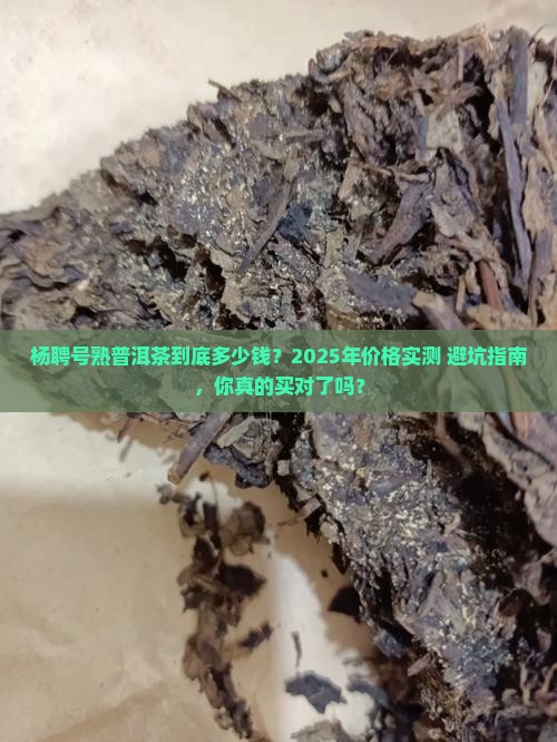 杨聘号熟普洱茶价格查询