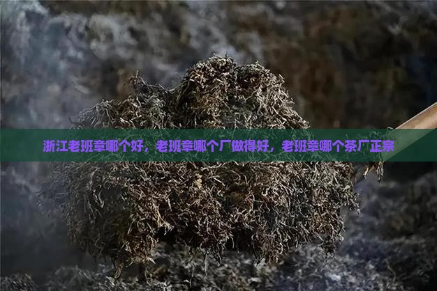 浙江老班章哪个好