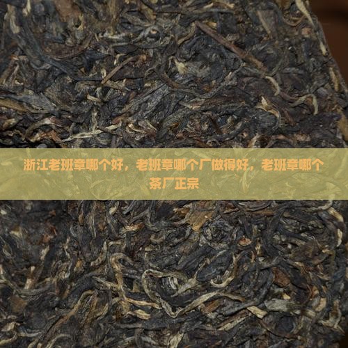 浙江老班章哪个好