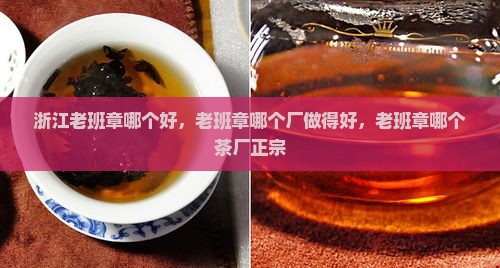 浙江老班章哪个好