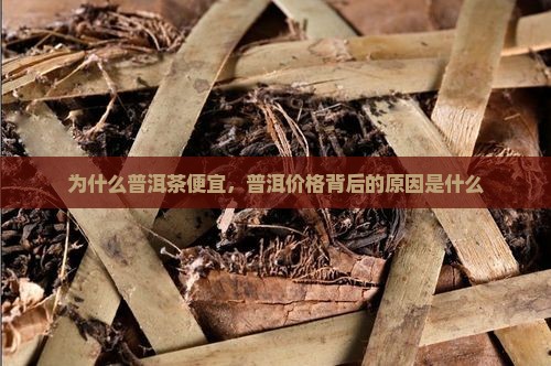 为什么有的普洱茶卖得便宜