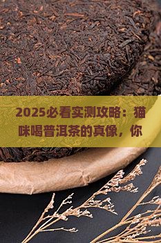 猫咪喝普洱茶的好处