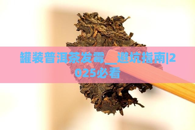 罐装普洱茶发霉
