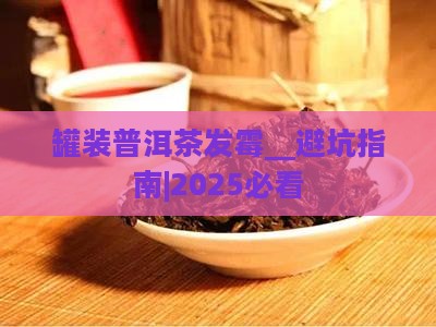 罐装普洱茶发霉
