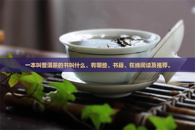 一本叫普洱茶的书