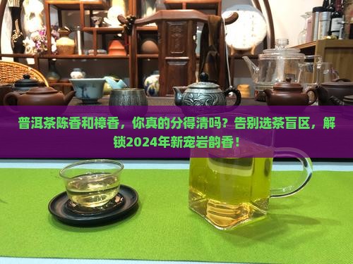 普洱茶陈香和樟香