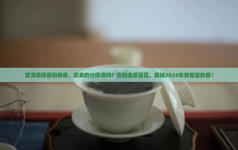 普洱茶陈香和樟香