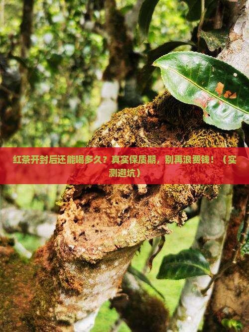 红茶开封后的保质期