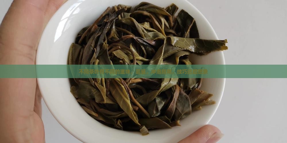 不同的茶叶有不同的滋味