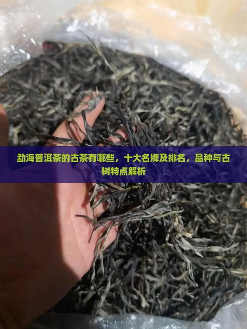 勐海普洱茶的古茶品牌